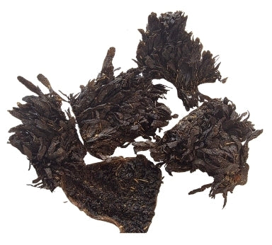 Dehydrated Bison Tripe Chips