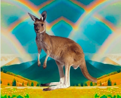 Kangaroo Products