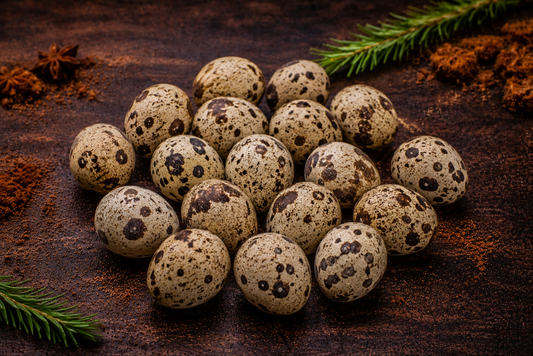 Freezer Dried Quail Eggs