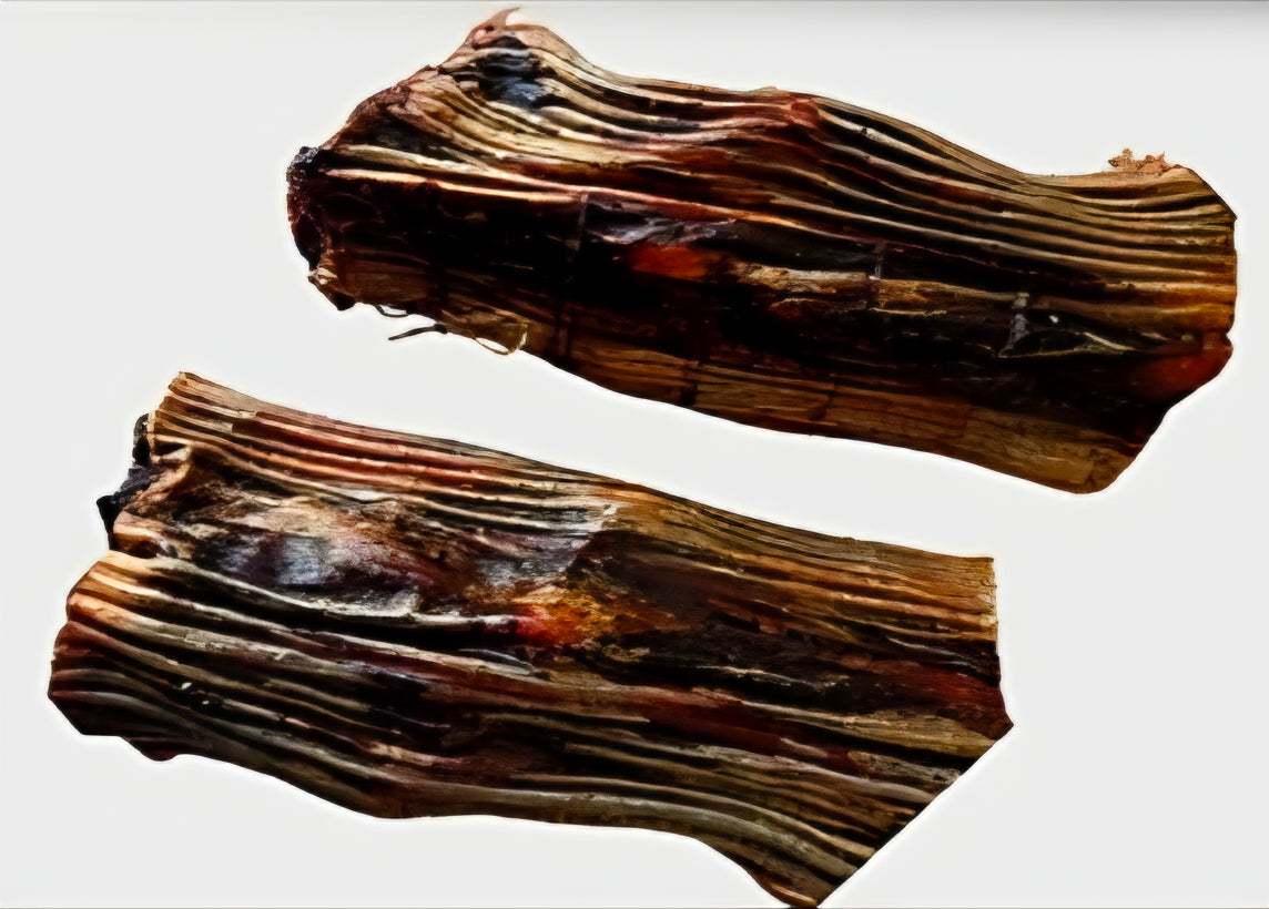 Dehydrated Kangaroo Tails